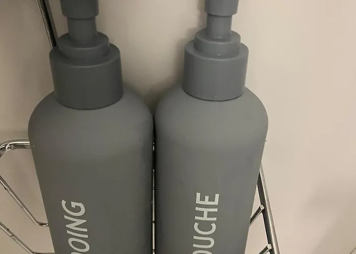 Hypercentre - Train Station 5 Minutes Away * Nancy